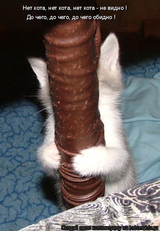 Нет кота, нет кота, нет кота - не видно ! До чего, до чего, до чего обидно !... Котоматрица: Нет кота, нет кота, нет кота - не видно ! До чего, до чего, до чего обидно !