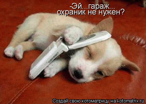 -Эй...гараж... охраник не нужен?... Котоматрица: -Эй...гараж... охраник не нужен?