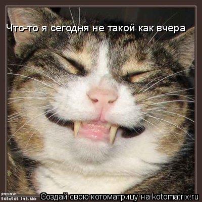 Что-то я сегодня не такой как вчера... Котоматрица: Что-то я сегодня не такой как вчера