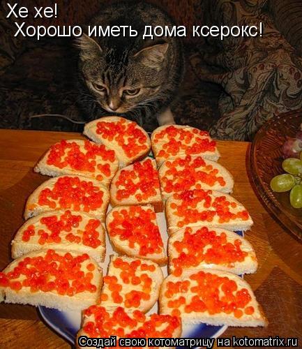 Хе хе! Хорошо иметь дома ксерокс!... Котоматрица: Хе хе! Хорошо иметь дома ксерокс!