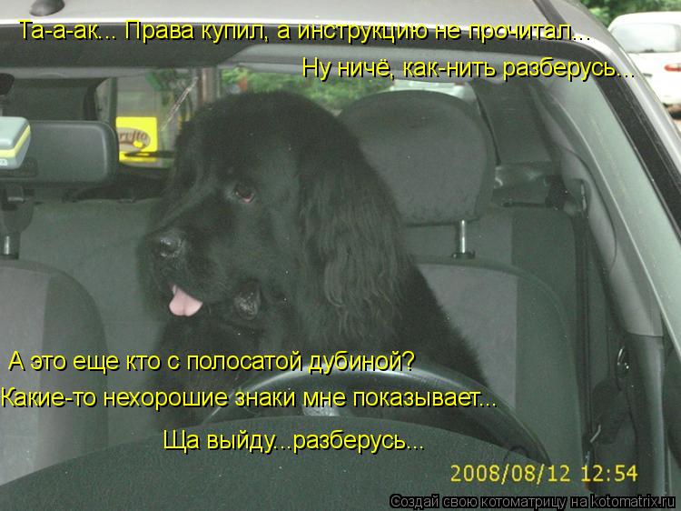 Та-а-ак... Права купил, а инструкцию не прочитал... Ну ничё, как-нить разберусь... А это еще кто с по... Котоматрица: Та-а-ак... Права купил, а инструкцию не прочитал... Ну ничё, как-нить разберусь... А это еще кто с полосатой дубиной? Какие-то нехорошие знаки мне