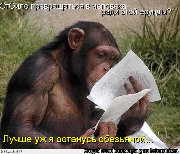 СтОило превращаться в человека ради этой ерунды? Лучше уж я останусь обезьяной...... Котоматрица: СтОило превращаться в человека ради этой ерунды? Лучше уж я останусь обезьяной...