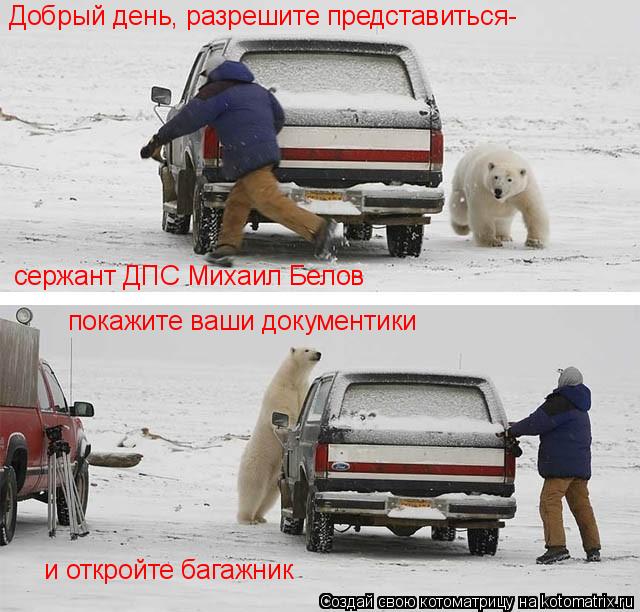 сержант ДПС Михаил Белов Добрый день, разрешите представиться- покажите ваши документики и откройте б... Котоматрица: сержант ДПС Михаил Белов Добрый день, разрешите представиться- покажите ваши документики и откройте багажник