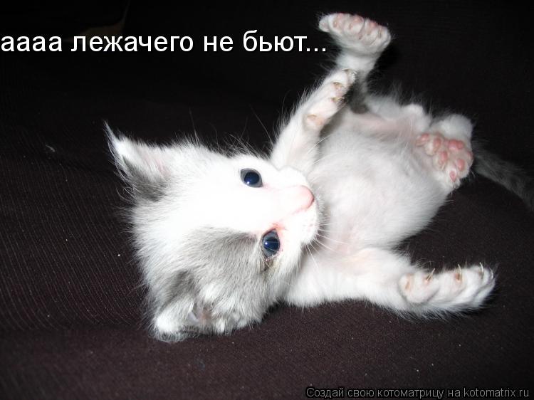 аааа лежачего не бьют...... Котоматрица: аааа лежачего не бьют...