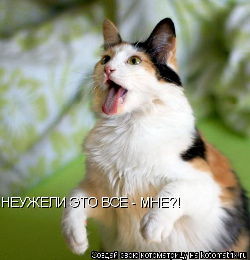 НЕУЖЕЛИ ЭТО ВСЕ - МНЕ?!... Котоматрица: НЕУЖЕЛИ ЭТО ВСЕ - МНЕ?!