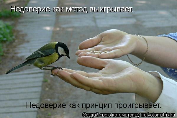 Недоверие как метод выигрывает. Недоверие как принцип проигрывает.... Котоматрица: Недоверие как метод выигрывает. Недоверие как принцип проигрывает.