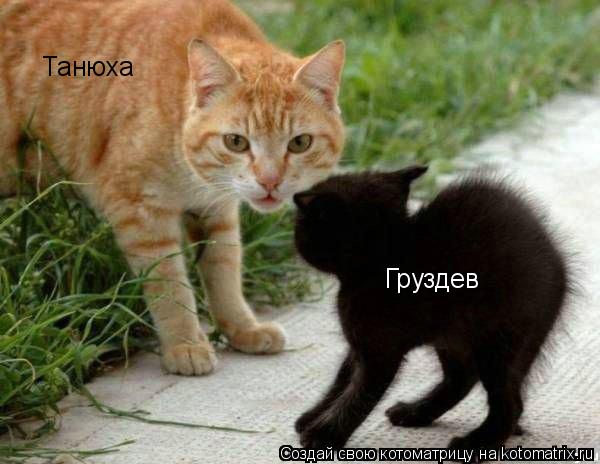 Танюха Груздев... Котоматрица: Танюха Груздев