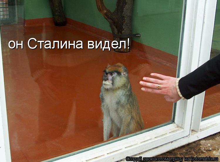 он Сталина видел!... Котоматрица: он Сталина видел!