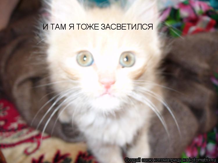 И ТАМ Я ТОЖЕ ЗАСВЕТИЛСЯ... Котоматрица: И ТАМ Я ТОЖЕ ЗАСВЕТИЛСЯ