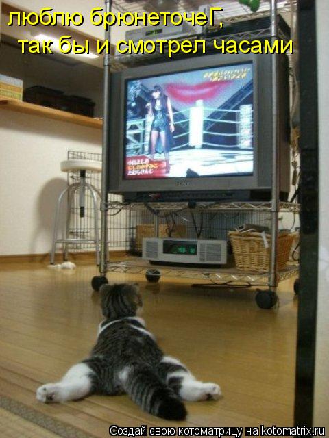 люблю брюнеточеГ, так бы и смотрел часами... Котоматрица: люблю брюнеточеГ, так бы и смотрел часами