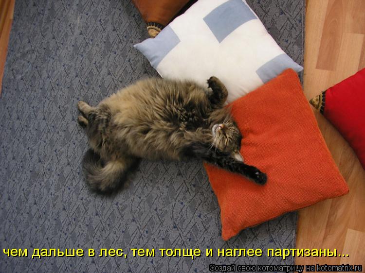 чем дальше в лес, тем толще и наглее партизаны...... Котоматрица: чем дальше в лес, тем толще и наглее партизаны...