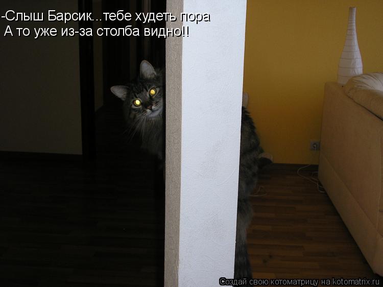 -Слыш Барсик...тебе худеть пора А то уже из-за столба видно!!... Котоматрица: -Слыш Барсик...тебе худеть пора А то уже из-за столба видно!!