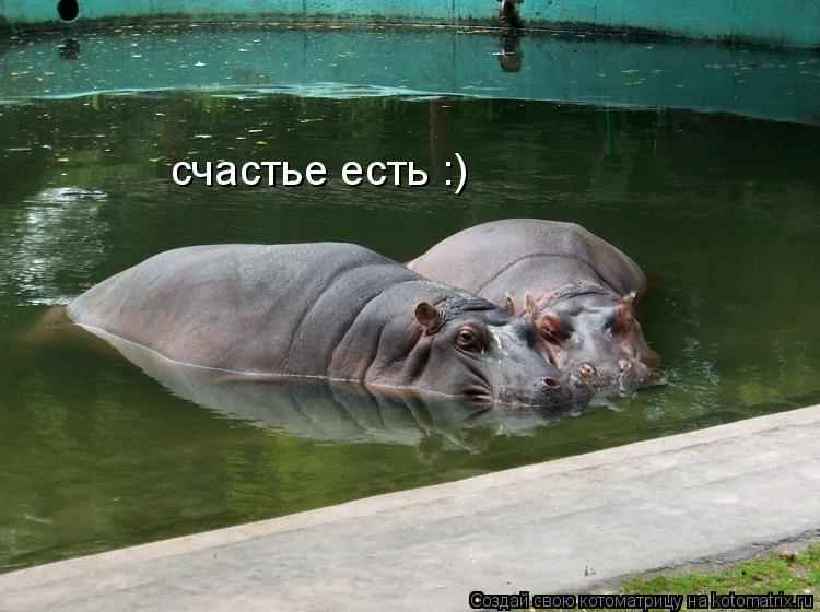 счастье есть :)... Котоматрица: счастье есть :)
