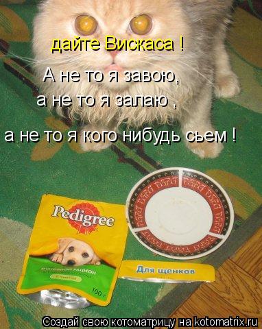 дайте Вискаса ! А не то я завою, а не то я залаю , а не то я кого нибудь сьем !... Котоматрица: дайте Вискаса ! А не то я завою, а не то я залаю , а не то я кого нибудь сьем !