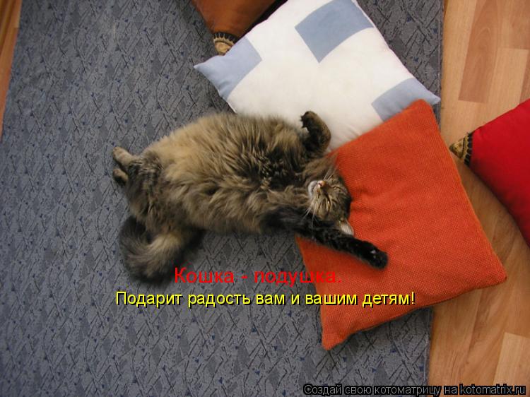 Кошка - подушка. Подарит радость вам и вашим детям!... Котоматрица: Кошка - подушка. Подарит радость вам и вашим детям!