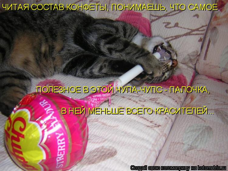 ЧИТАЯ СОСТАВ КОНФЕТЫ, ПОНИМАЕШЬ, ЧТО САМОЕ ПОЛЕЗНОЕ В ЭТОЙ ЧУПА-ЧУПС - ПАЛОЧКА, В НЕЙ МЕНЬШЕ ВСЕГО КР... Котоматрица: ЧИТАЯ СОСТАВ КОНФЕТЫ, ПОНИМАЕШЬ, ЧТО САМОЕ ПОЛЕЗНОЕ В ЭТОЙ ЧУПА-ЧУПС - ПАЛОЧКА, В НЕЙ МЕНЬШЕ ВСЕГО КРАСИТЕЛЕЙ...
