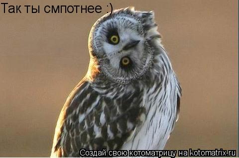 Так ты смпотнее :)... Котоматрица: Так ты смпотнее :)