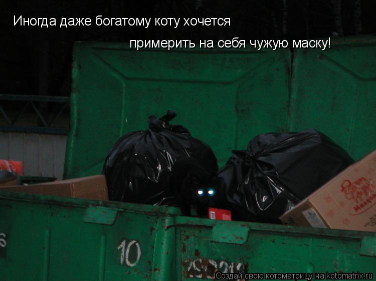 Иногда даже богатому коту хочется примерить на себя чужую маску!... Котоматрица: Иногда даже богатому коту хочется примерить на себя чужую маску!