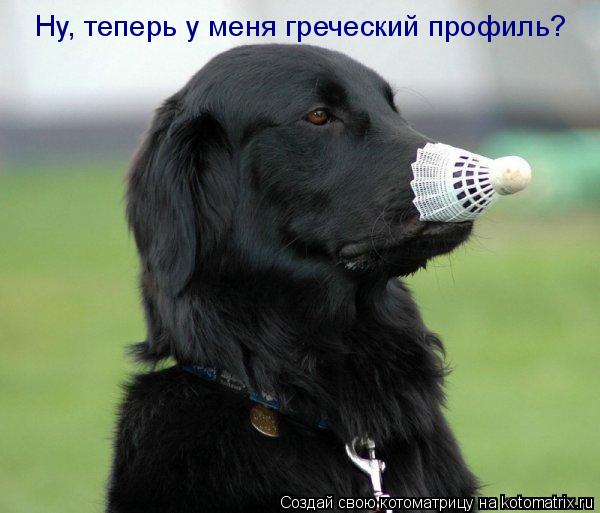Ну, теперь у меня греческий профиль?... Котоматрица: Ну, теперь у меня греческий профиль?