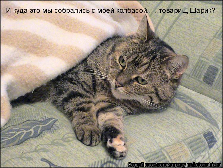 И куда это мы собрались с моей колбасой......товарищ Шарик?... Котоматрица: И куда это мы собрались с моей колбасой......товарищ Шарик?