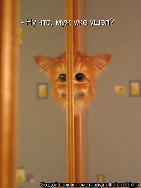 - Ну что, муж уже ушел?... Котоматрица: - Ну что, муж уже ушел?