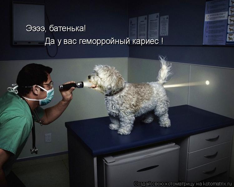 Ээээ, батенька! Да у вас геморройный кариес !... Котоматрица: Ээээ, батенька! Да у вас геморройный кариес !