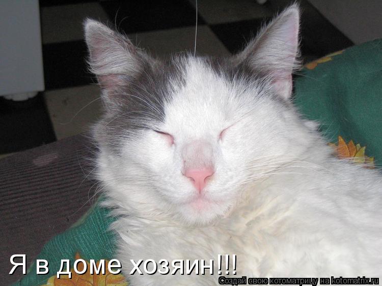 Я в доме хозяин!!!... Котоматрица: Я в доме хозяин!!!