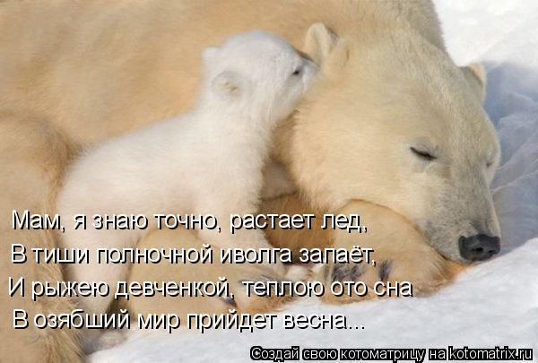 Скачать текст песни не для меня придёт весна