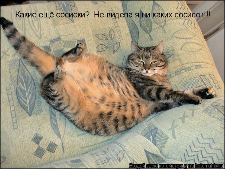 Какие ещё сосиски? Не видела я ни каких сосисок!!!... Котоматрица: Какие ещё сосиски? Не видела я ни каких сосисок!!!
