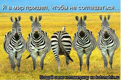 Я в мир пришел, чтобы не соглашаться...... Котоматрица: Я в мир пришел, чтобы не соглашаться...