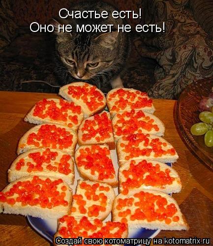 Котоматрица: Счастье есть! Оно не может не есть!