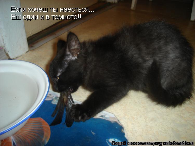 Если хочеш ты наесться... Еш один и в темноте!!... Котоматрица: Если хочеш ты наесться... Еш один и в темноте!!