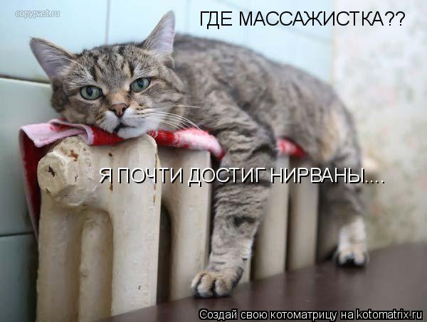 ГДЕ МАССАЖИСТКА?? Я ПОЧТИ ДОСТИГ НИРВАНЫ....... Котоматрица: ГДЕ МАССАЖИСТКА?? Я ПОЧТИ ДОСТИГ НИРВАНЫ....