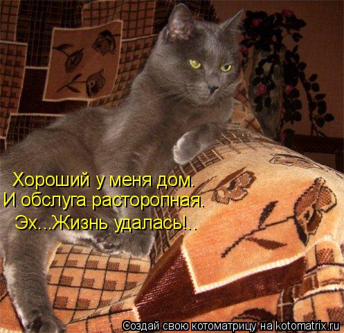 Хороший у меня дом. И обслуга расторопная. Эх...Жизнь удалась!..... Котоматрица: Хороший у меня дом. И обслуга расторопная. Эх...Жизнь удалась!..