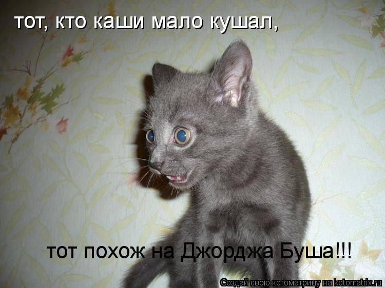 тот, кто каши мало кушал, тот похож на Джорджа Буша!!!... Котоматрица: тот, кто каши мало кушал, тот похож на Джорджа Буша!!!