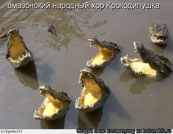 амазонский народный хор Крокодилушка... Котоматрица: амазонский народный хор Крокодилушка