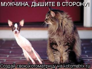 МУЖЧИНА, ДЫШИТЕ В СТОРОНУ!... Котоматрица: МУЖЧИНА, ДЫШИТЕ В СТОРОНУ!