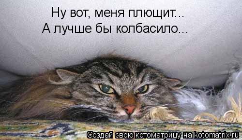 Котоматрица: Ну вот, меня плющит... А лучше бы колбасило...