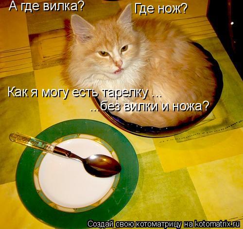 А где вилка? Где нож? Как я могу есть тарелку ... ...без вилки и ножа?... Котоматрица: А где вилка? Где нож? Как я могу есть тарелку ... ...без вилки и ножа?