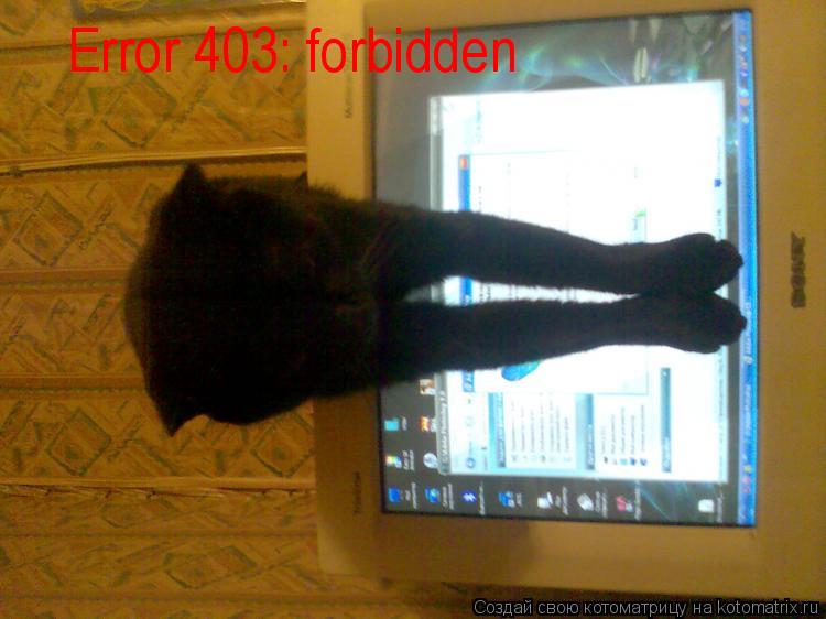 Error 403: forbidden... Котоматрица: Error 403: forbidden