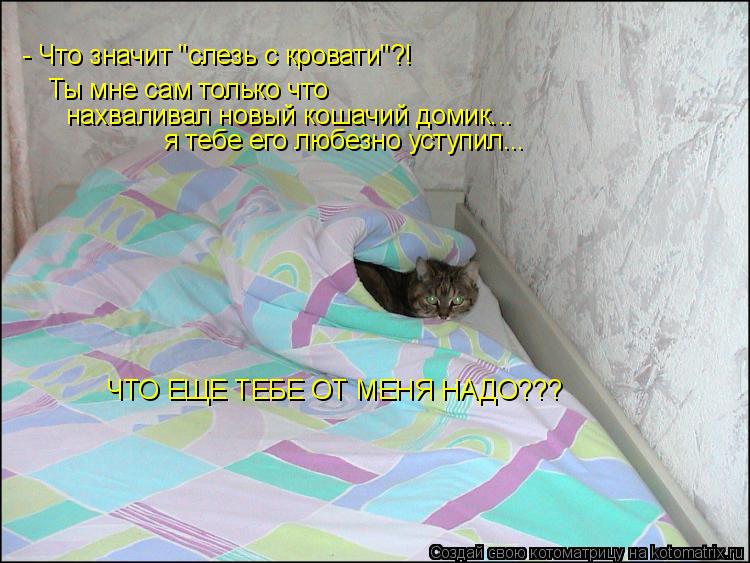Ты мне сам только что нахваливал новый кошачий домик... я тебе его любезно уступил... - Что значит "... Котоматрица: Ты мне сам только что нахваливал новый кошачий домик... я тебе его любезно уступил... - Что значит "слезь с кровати"?! ЧТО ЕЩЕ ТЕБЕ ОТ МЕНЯ НАДО??