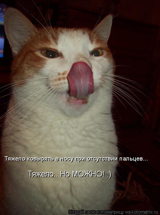 Тяжело ковырять в носу при отсутствии пальцев... Тяжело.. Но МОЖНО! :)... Котоматрица: Тяжело ковырять в носу при отсутствии пальцев... Тяжело.. Но МОЖНО! :)