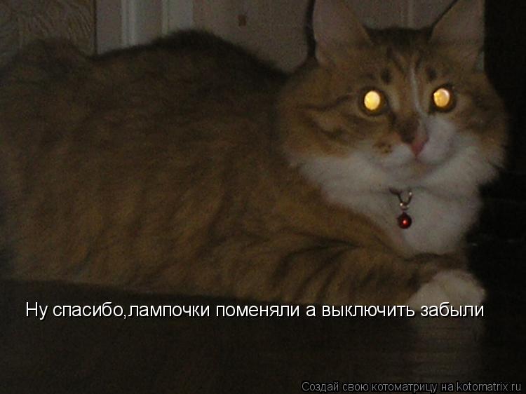 Ну спасибо,лампочки поменяли а выключить забыли... Котоматрица: Ну спасибо,лампочки поменяли а выключить забыли