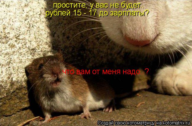 что вам от меня надо..? простите, у вас не будет.. рублей 15 - 17 до зарплаты?... Котоматрица: что вам от меня надо..? простите, у вас не будет.. рублей 15 - 17 до зарплаты?