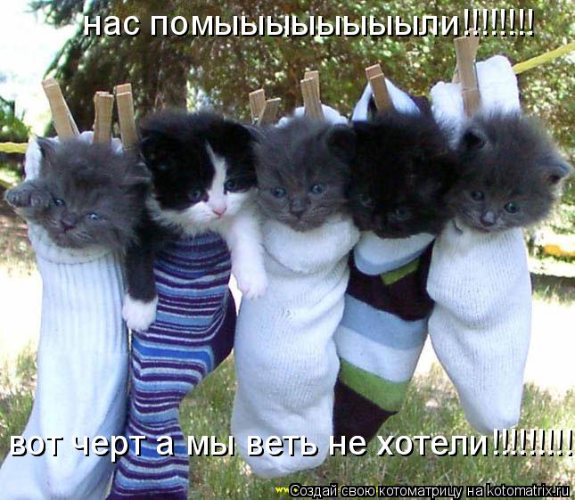 нас помыыыыыыыыли!!!!!!!! вот черт а мы веть не хотели!!!!!!!!!!!!! вот черт а мы веть не хотели!!!!!... Котоматрица: нас помыыыыыыыыли!!!!!!!! вот черт а мы веть не хотели!!!!!!!!!!!!! вот черт а мы веть не хотели!!!!!!!!!!!!!