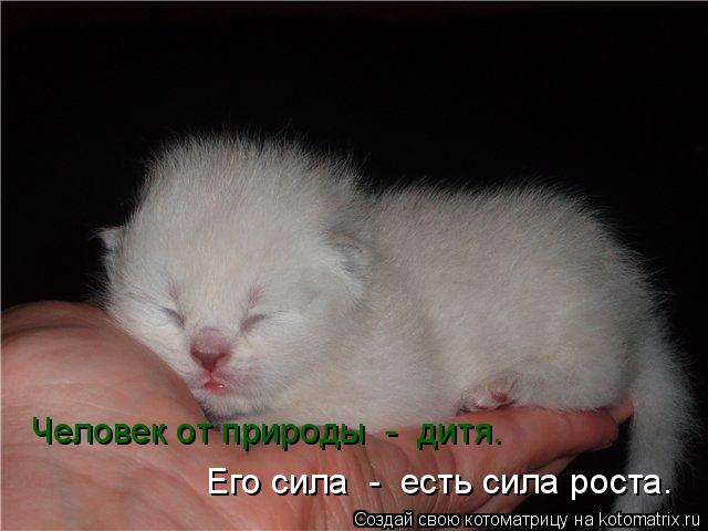 Человек от природы - дитя. Его сила - есть сила роста.... Котоматрица: Человек от природы - дитя. Его сила - есть сила роста.