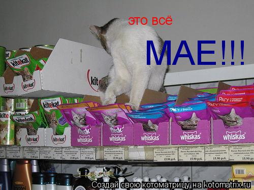 это всё МАЕ!!!... Котоматрица: это всё МАЕ!!!