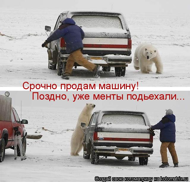 Срочно продам машину! Поздно, уже менты подьехали...... Котоматрица: Срочно продам машину! Поздно, уже менты подьехали...
