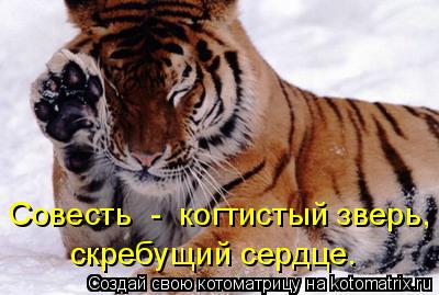 скребущий сердце. Совесть - когтистый зверь,... Котоматрица: скребущий сердце. Совесть - когтистый зверь,