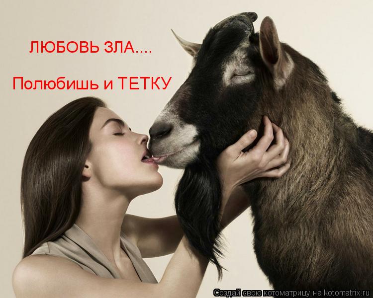 ЛЮБОВЬ ЗЛА.... Полюбишь и ТЕТКУ... Котоматрица: ЛЮБОВЬ ЗЛА.... Полюбишь и ТЕТКУ